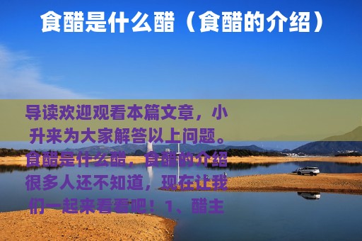 食醋是什么醋（食醋的介绍）