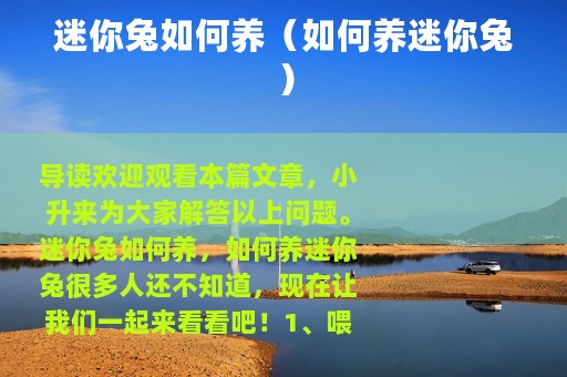 迷你兔如何养（如何养迷你兔）