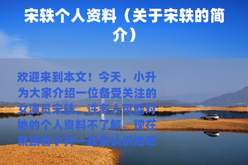 宋轶个人资料（关于宋轶的简介）