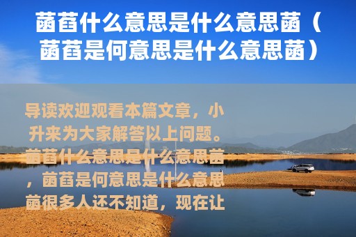 菡萏什么意思是什么意思菡（菡萏是何意思是什么意思菡）