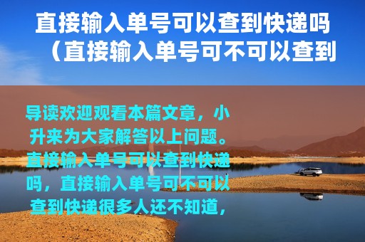 直接输入单号可以查到快递吗（直接输入单号可不可以查到快递）