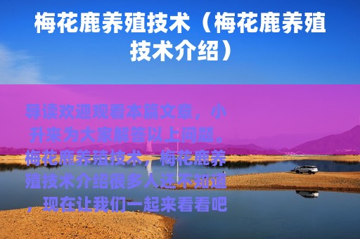 梅花鹿养殖技术（梅花鹿养殖技术介绍）