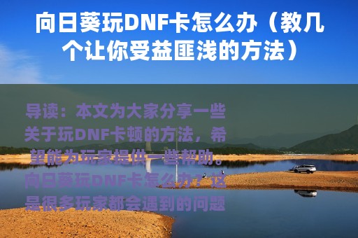 向日葵玩DNF卡怎么办（教几个让你受益匪浅的方法）