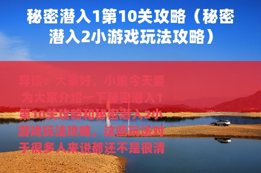 秘密潜入1第10关攻略（秘密潜入2小游戏玩法攻略）