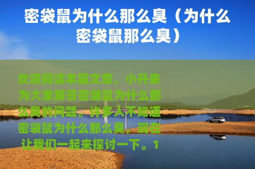 密袋鼠为什么那么臭（为什么密袋鼠那么臭）