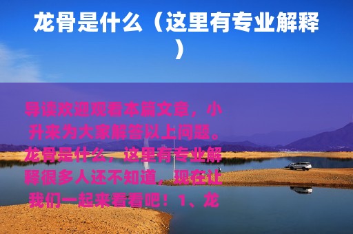 龙骨是什么（这里有专业解释）