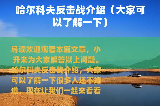 哈尔科夫反击战介绍（大家可以了解一下）