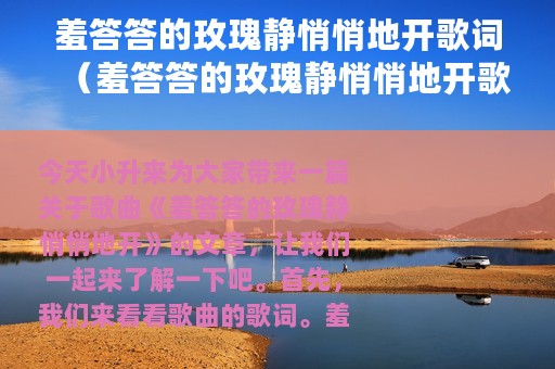 羞答答的玫瑰静悄悄地开歌词（羞答答的玫瑰静悄悄地开歌简介）