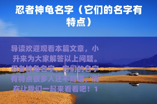 忍者神龟名字（它们的名字有特点）