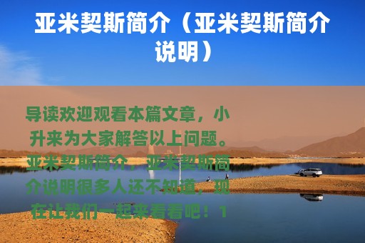 亚米契斯简介（亚米契斯简介说明）