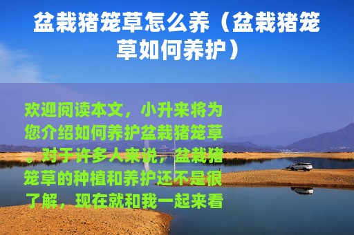 盆栽猪笼草怎么养（盆栽猪笼草如何养护）