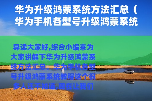 华为升级鸿蒙系统方法汇总（华为手机各型号升级鸿蒙系统教程）