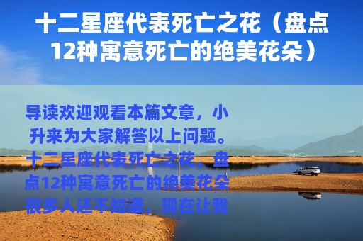十二星座代表死亡之花（盘点12种寓意死亡的绝美花朵）