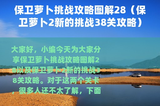 保卫萝卜挑战攻略图解28（保卫萝卜2新的挑战38关攻略）