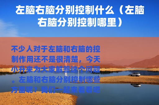 左脑右脑分别控制什么（左脑右脑分别控制哪里）