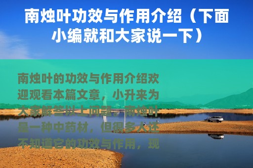 南烛叶功效与作用介绍（下面小编就和大家说一下）