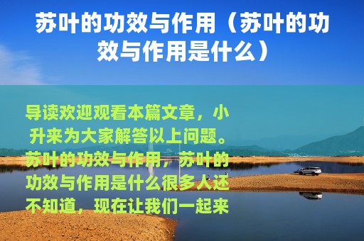 苏叶的功效与作用（苏叶的功效与作用是什么）