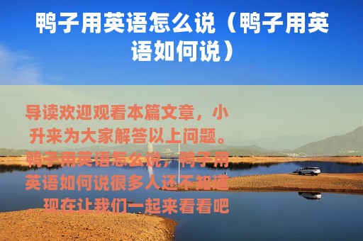 鸭子用英语怎么说（鸭子用英语如何说）