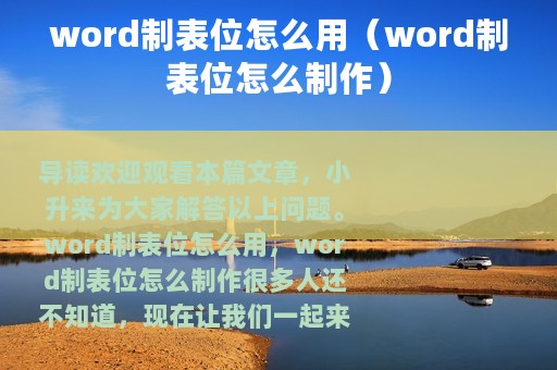 word制表位怎么用（word制表位怎么制作）