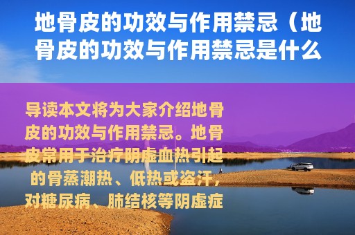 地骨皮的功效与作用禁忌（地骨皮的功效与作用禁忌是什么）