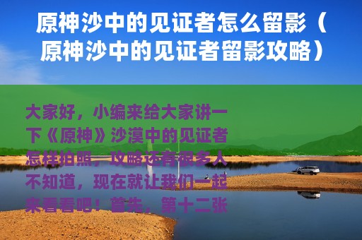 原神沙中的见证者怎么留影（原神沙中的见证者留影攻略）