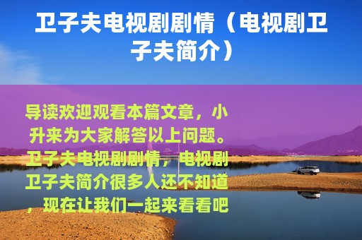 卫子夫电视剧剧情（电视剧卫子夫简介）