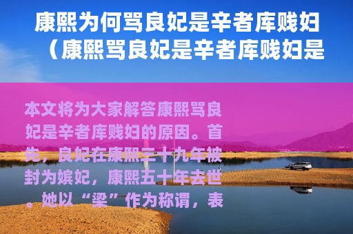 康熙为何骂良妃是辛者库贱妇（康熙骂良妃是辛者库贱妇是为什么）