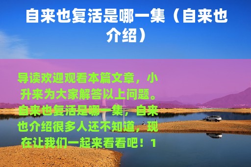 自来也复活是哪一集（自来也介绍）
