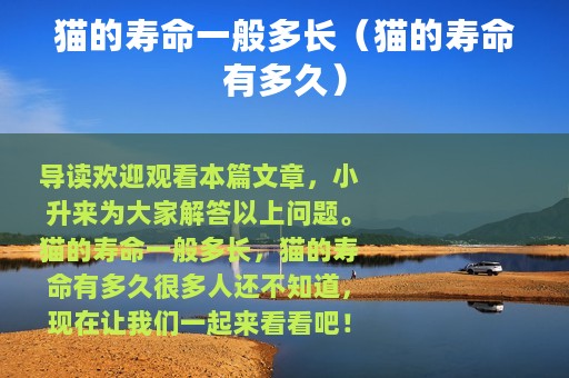 猫的寿命一般多长（猫的寿命有多久）