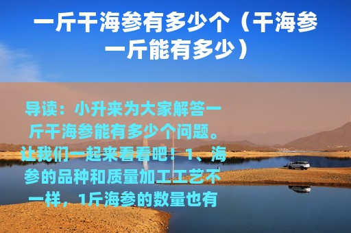 一斤干海参有多少个（干海参一斤能有多少）