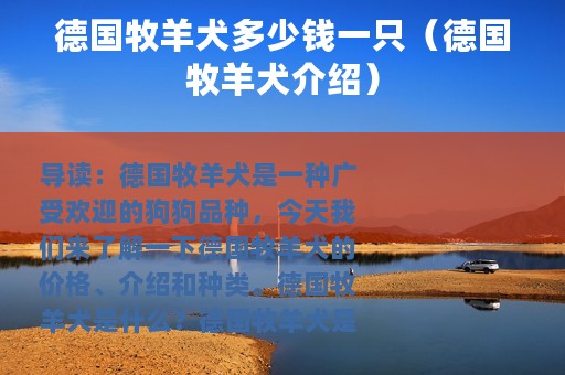 德国牧羊犬多少钱一只（德国牧羊犬介绍）