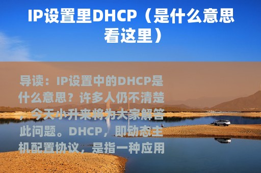 IP设置里DHCP（是什么意思 看这里）