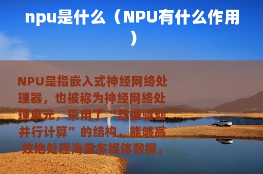 npu是什么（NPU有什么作用）