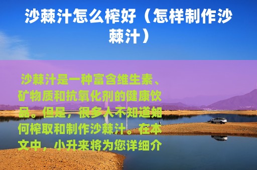 沙棘汁怎么榨好（怎样制作沙棘汁）