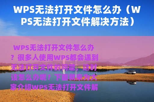 WPS无法打开文件怎么办（WPS无法打开文件解决方法）