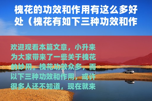 槐花的功效和作用有这么多好处（槐花有如下三种功效和作用）