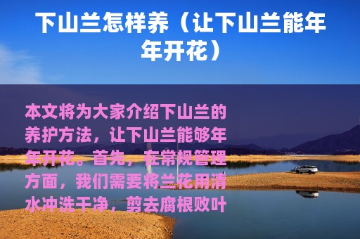 下山兰怎样养（让下山兰能年年开花）