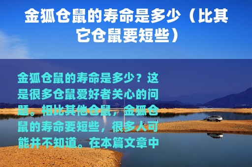 金狐仓鼠的寿命是多少（比其它仓鼠要短些）