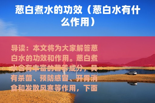 葱白煮水的功效（葱白水有什么作用）