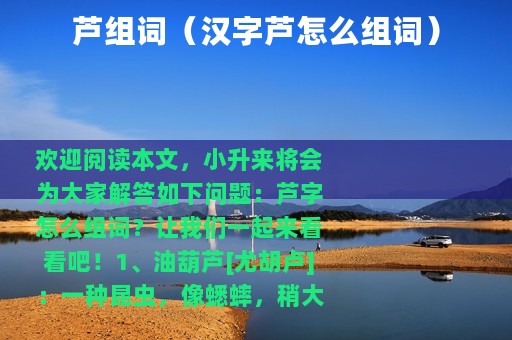 芦组词（汉字芦怎么组词）