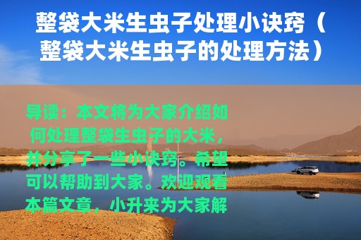 整袋大米生虫子处理小诀窍（整袋大米生虫子的处理方法）