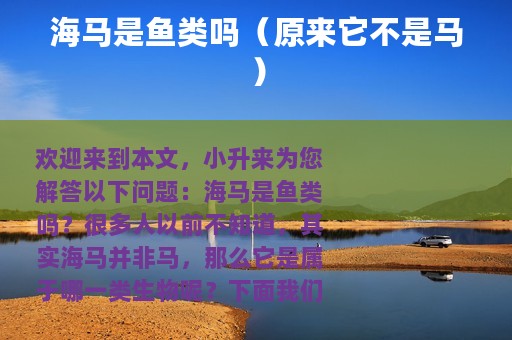 海马是鱼类吗（原来它不是马）