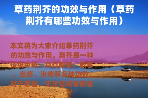 草药荆芥的功效与作用（草药荆芥有哪些功效与作用）