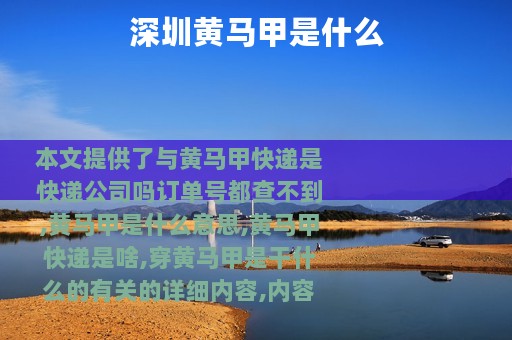 深圳黄马甲是什么