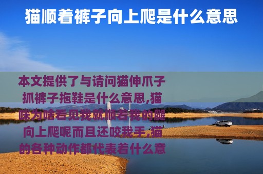 猫顺着裤子向上爬是什么意思