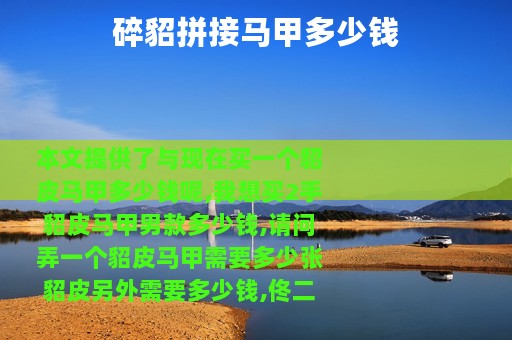 碎貂拼接马甲多少钱