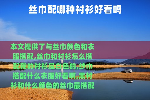 丝巾配哪种衬衫好看吗