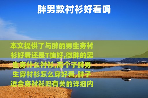 胖男款衬衫好看吗