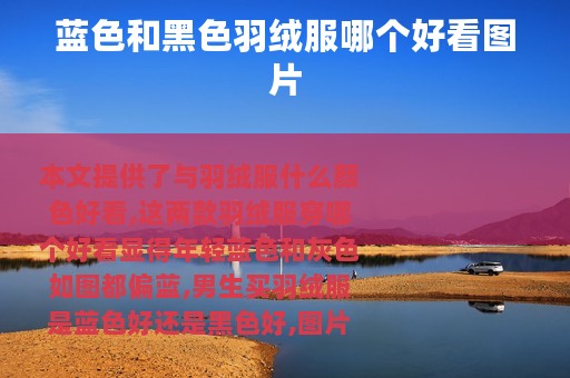 蓝色和黑色羽绒服哪个好看图片