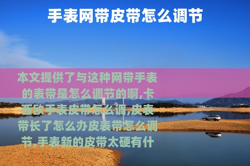 手表网带皮带怎么调节